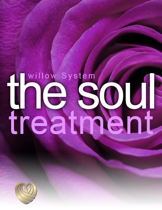 Read: Soul Healing Symptoms Treatable With The Willow System