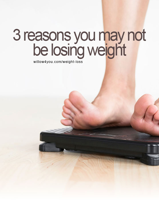 Read: Why am I not losing weight? Enter... Weight Loss With Willow