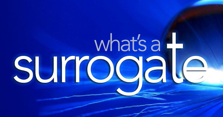 What's a Surrogate: A Surrogate Definition