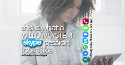 Willow System: What's Skype? Your connection to Holistic Health? Definition