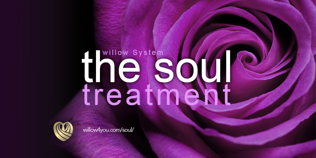 Soul Healing Symptoms Treatable With The Willow System and More